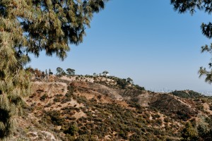 Griffith Observatory